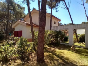 Villa immersa in pineta 100m dalla spiaggia